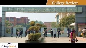 college logo